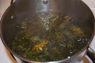 Herbal decoction against varicose veins