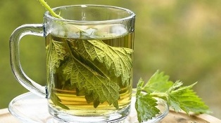 nettle decoction for varicose veins