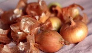 onion treatment against varicose veins